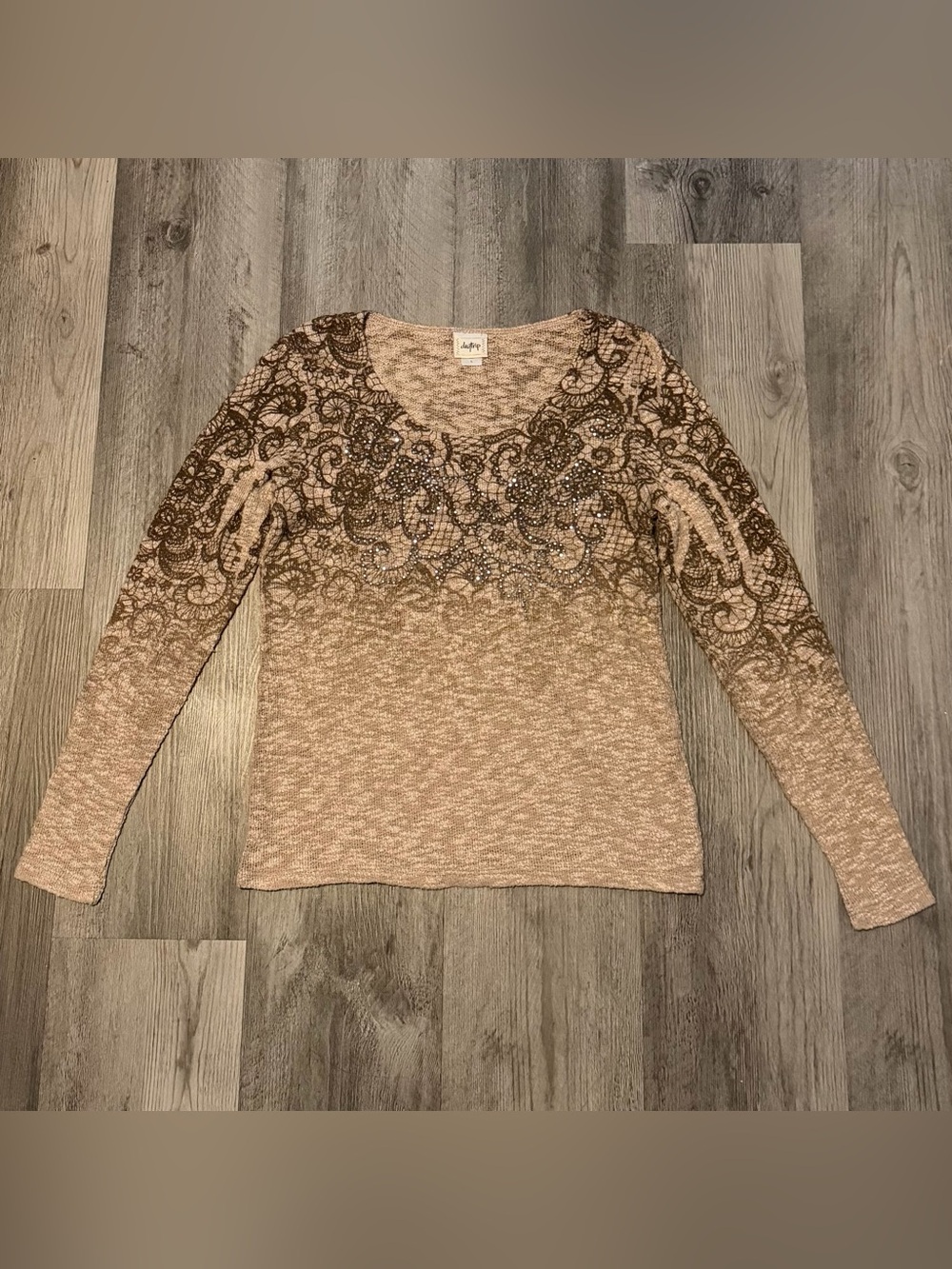 Y2K Daytrip Long Sleeve Sheer Scoop Neck Top in Blush Brown with Lace Motif